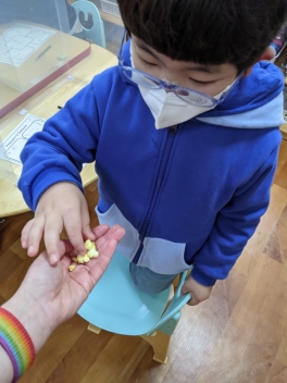 5 Senses(오감) - Green Class(그린반 )